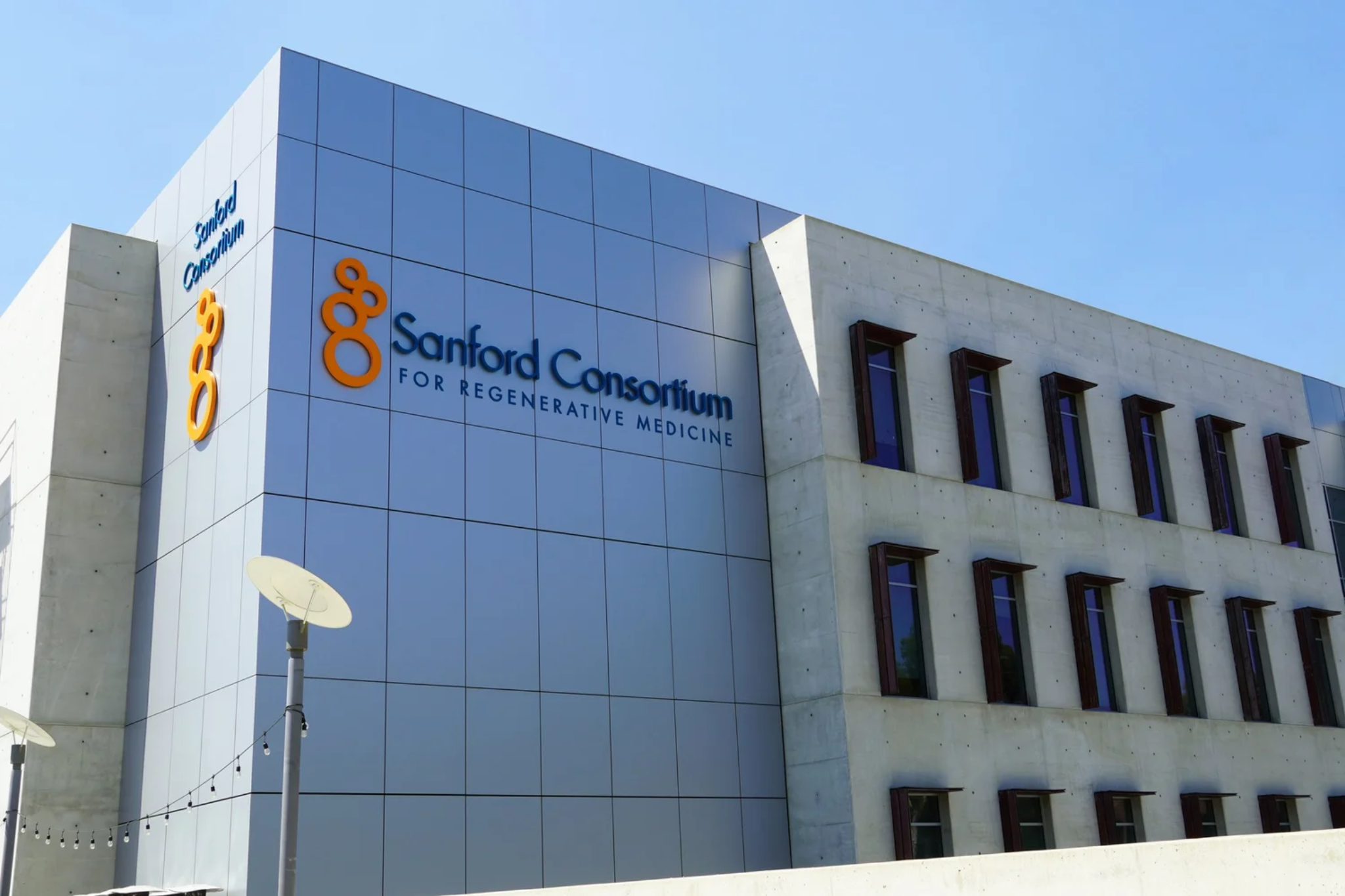 Muotri Lab — organoides cerebrales